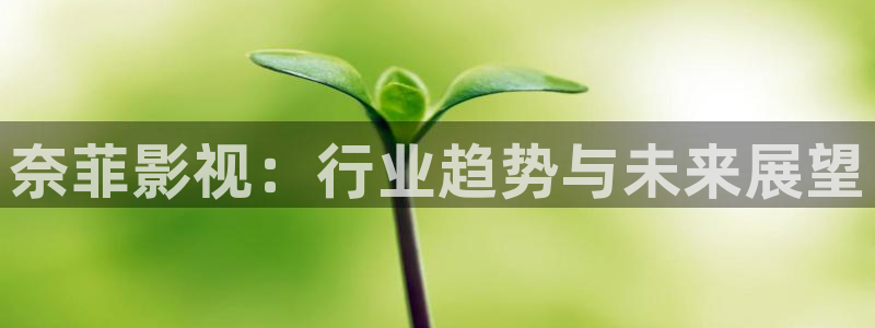 我们的日子星空影院