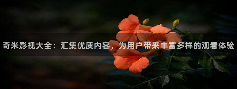 星空影院免费观看电视剧高清