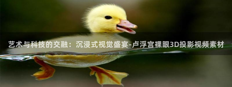 星空影视在线观看全