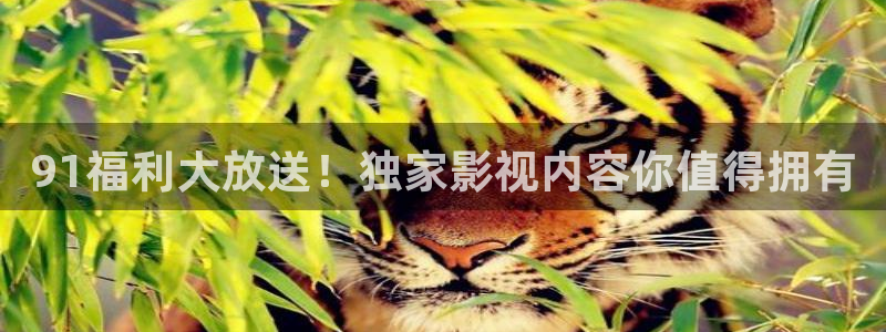 在线观看影院星空